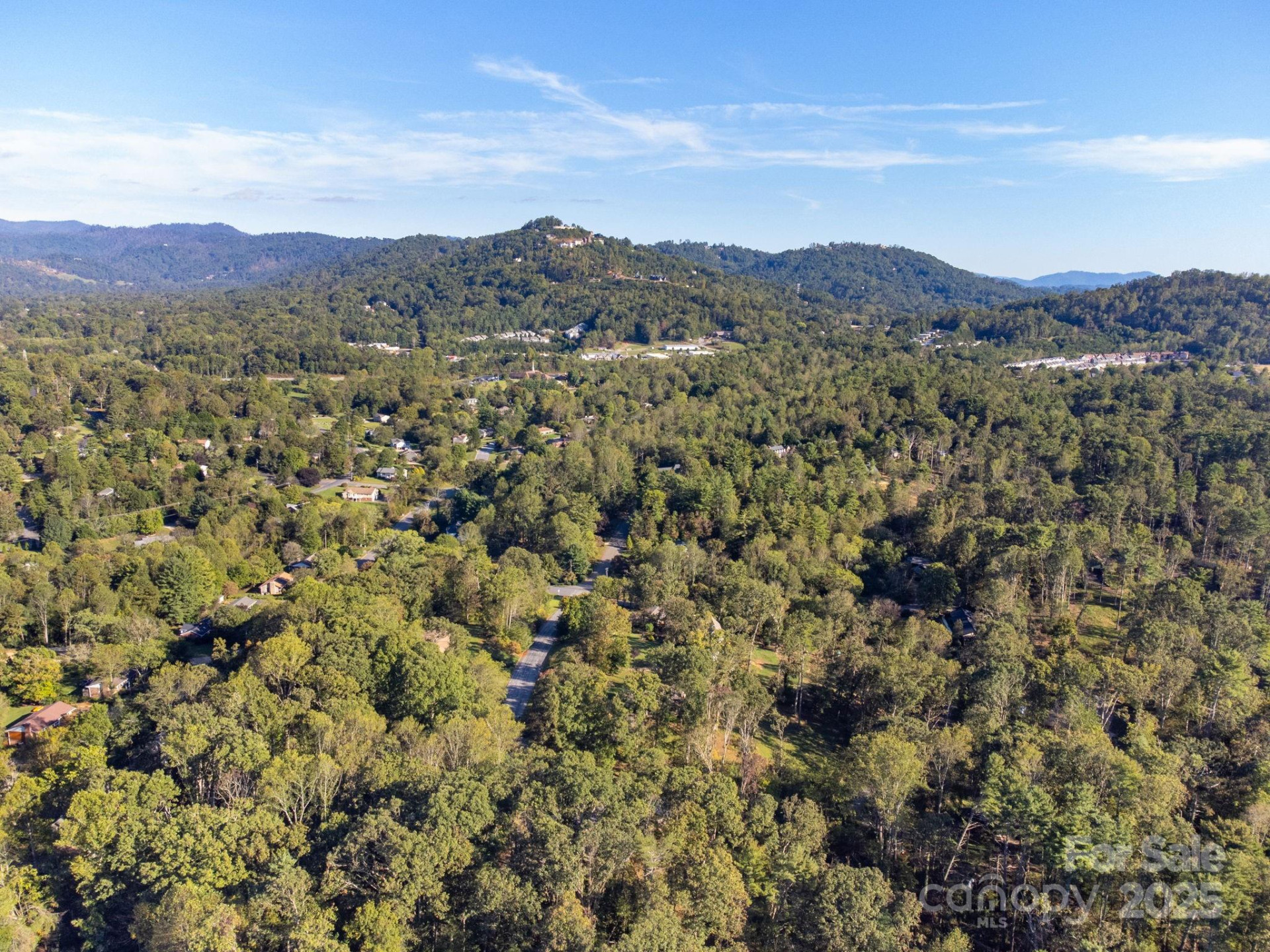 226 Wildflower Road - Photo 39