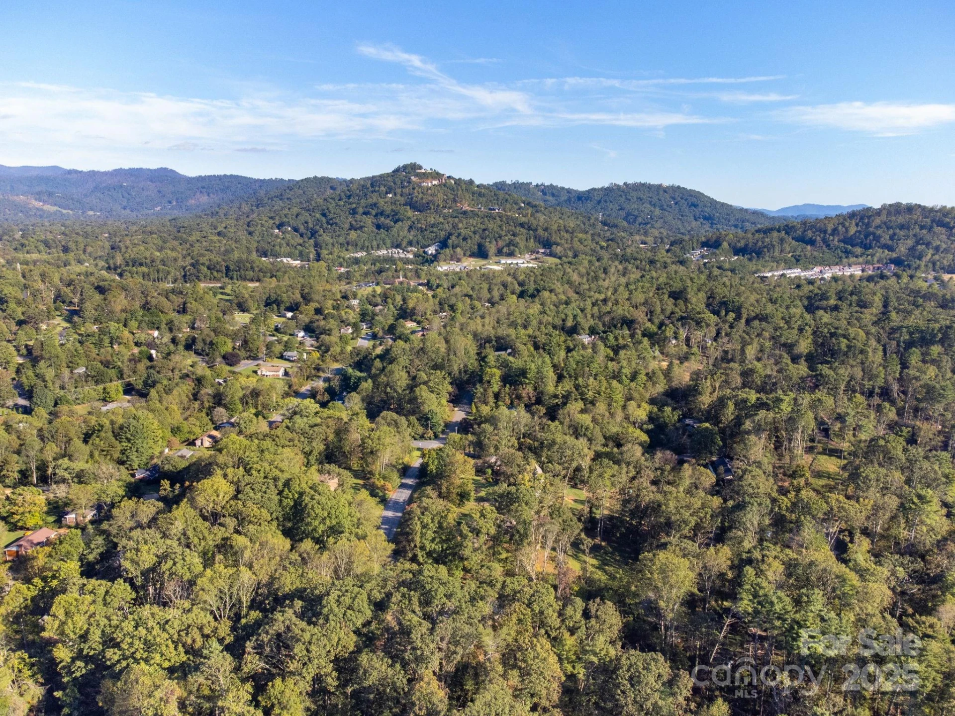 226 Wildflower Road - Photo 39