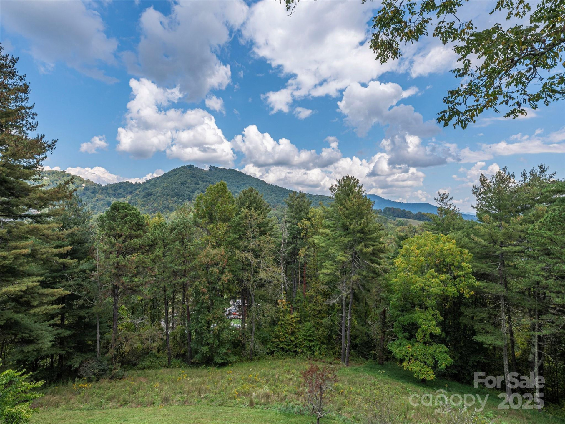 89 Patten Park Drive - Photo 7