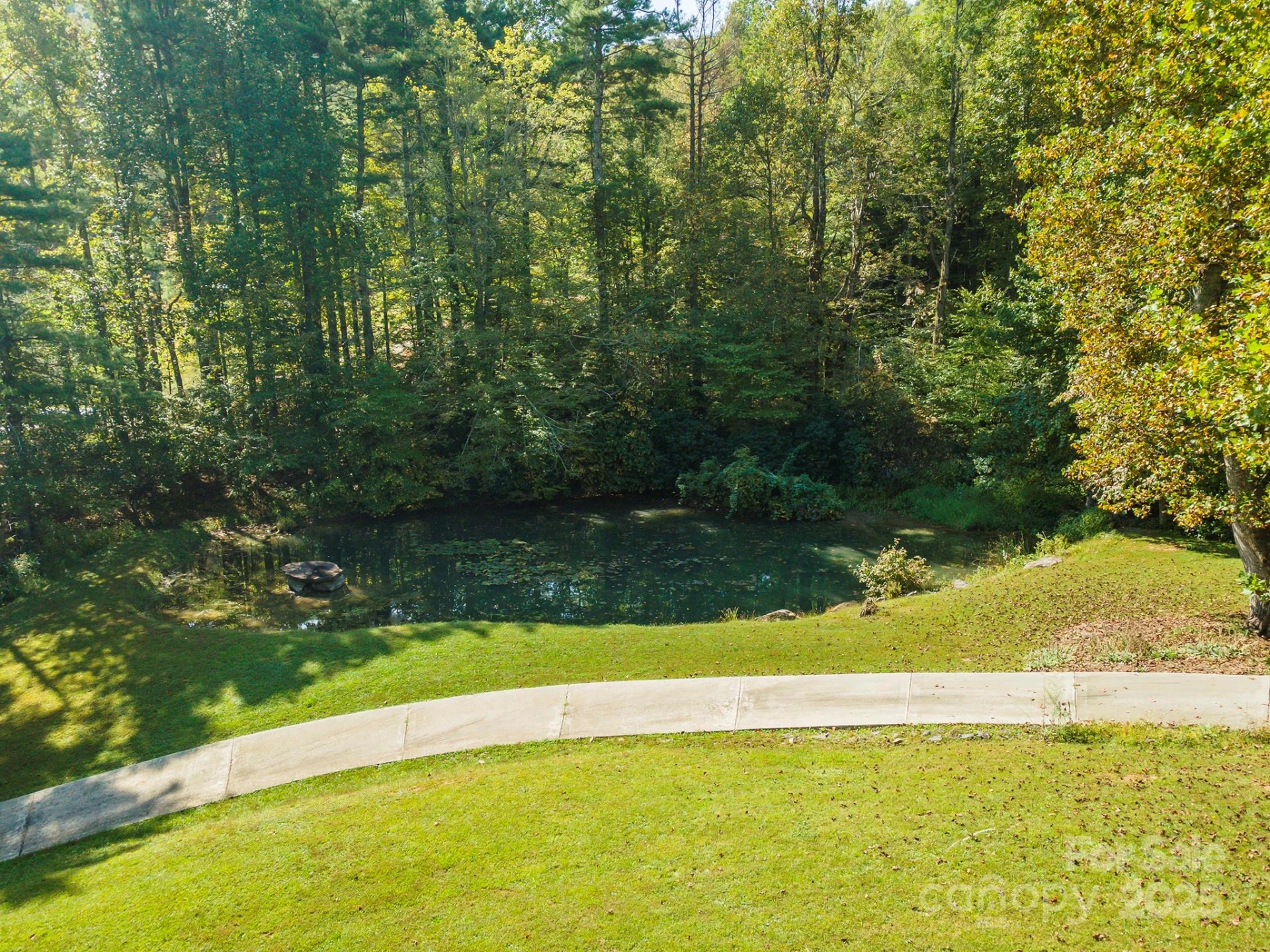 85 Prospectors Trail - Photo 8