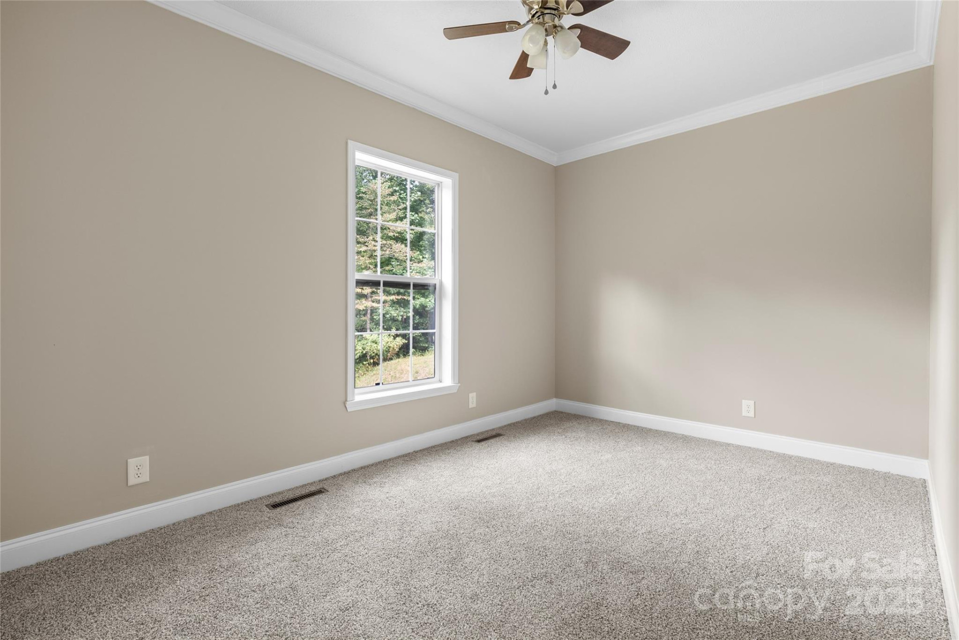 47 Red Valley Road - Photo 19