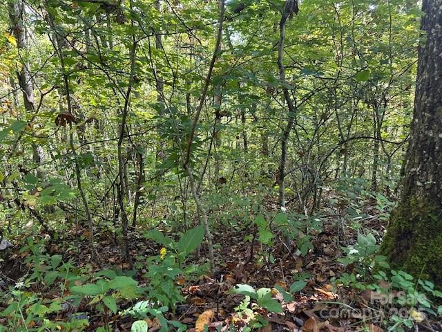 H16-H17 Shady Grove Road