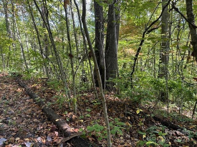 H16-H17 Shady Grove Road - Photo 2