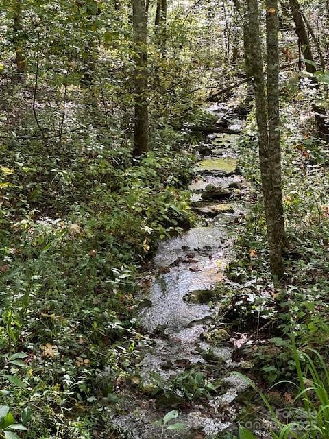 H16-H17 Shady Grove Road - Photo 4