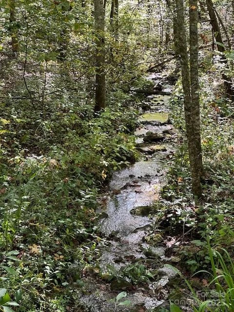 H16-H17 Shady Grove Road - Photo 4