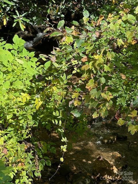 H16-H17 Shady Grove Road - Photo 5