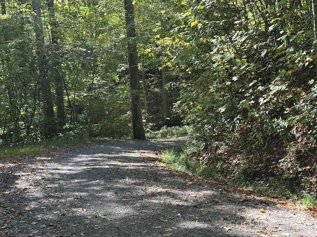 H16-H17 Shady Grove Road - Photo 6