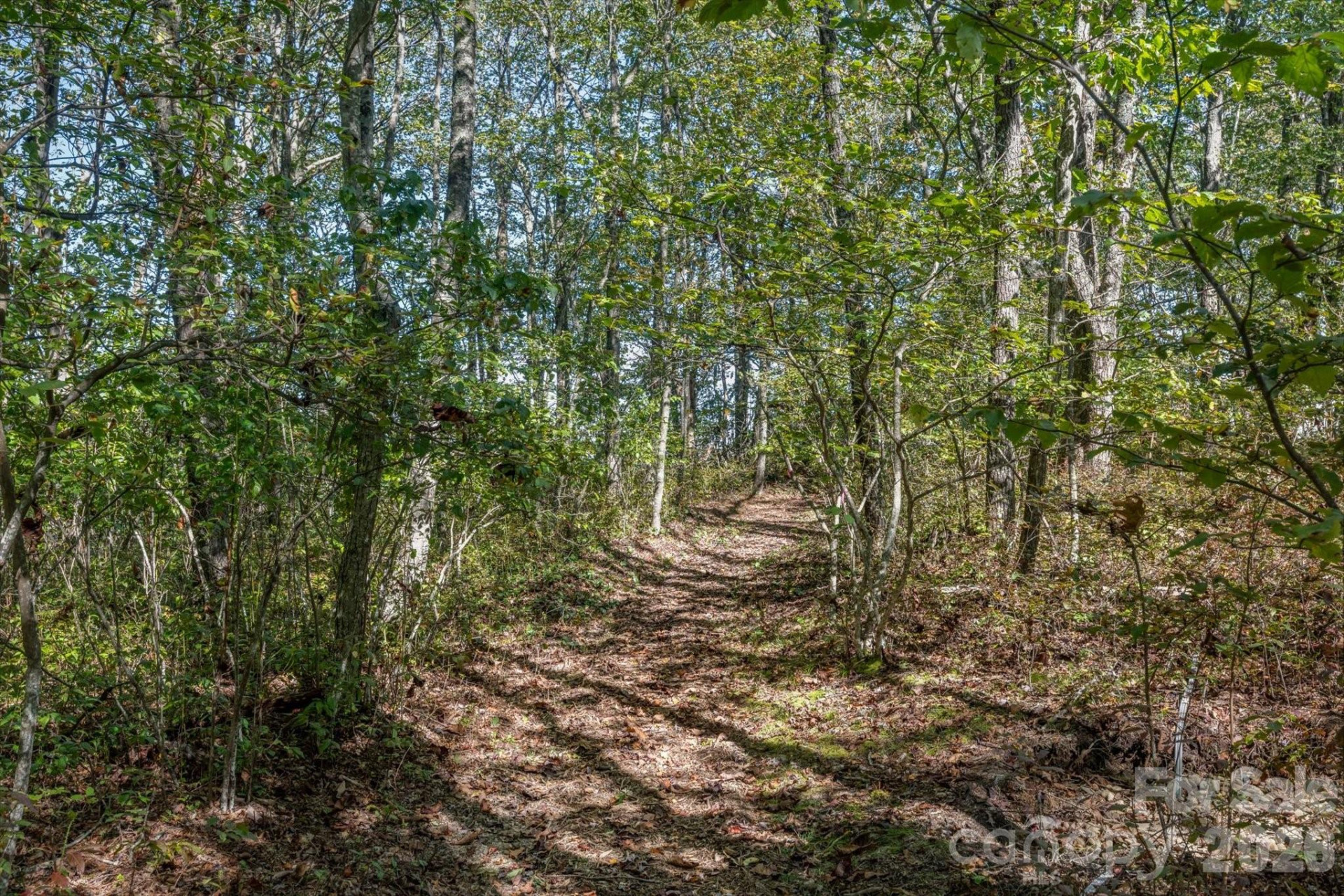 1544 Panthertown Road - Photo 45