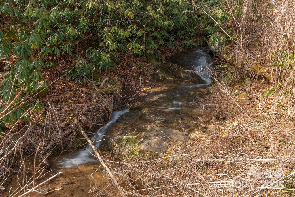 2220 (Tract 1) Tilley Creek Road - Photo 2