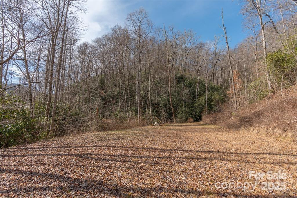 2220 (Tract 1) Tilley Creek Road - Photo 4