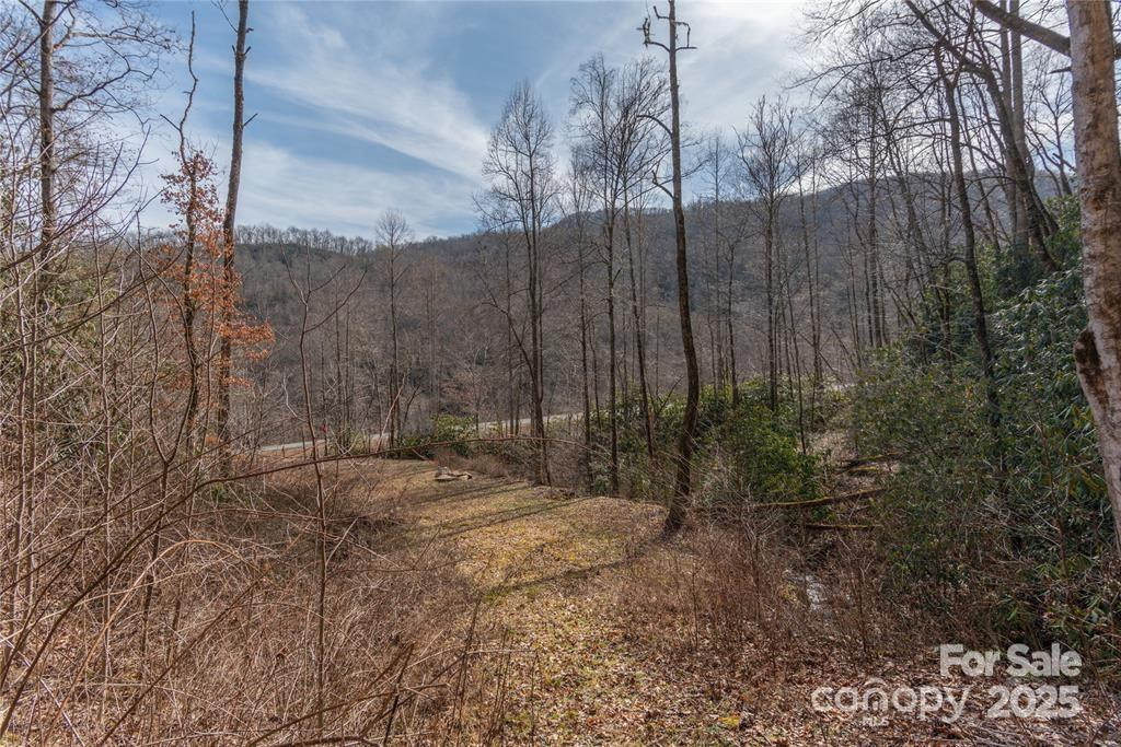 2220 (Tract 1) Tilley Creek Road - Photo 5