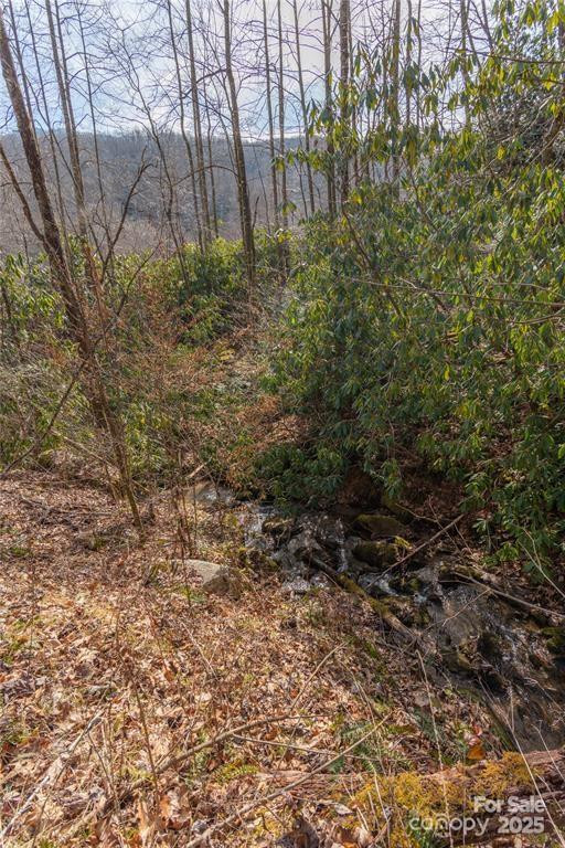 2220 (Tract 1) Tilley Creek Road - Photo 8