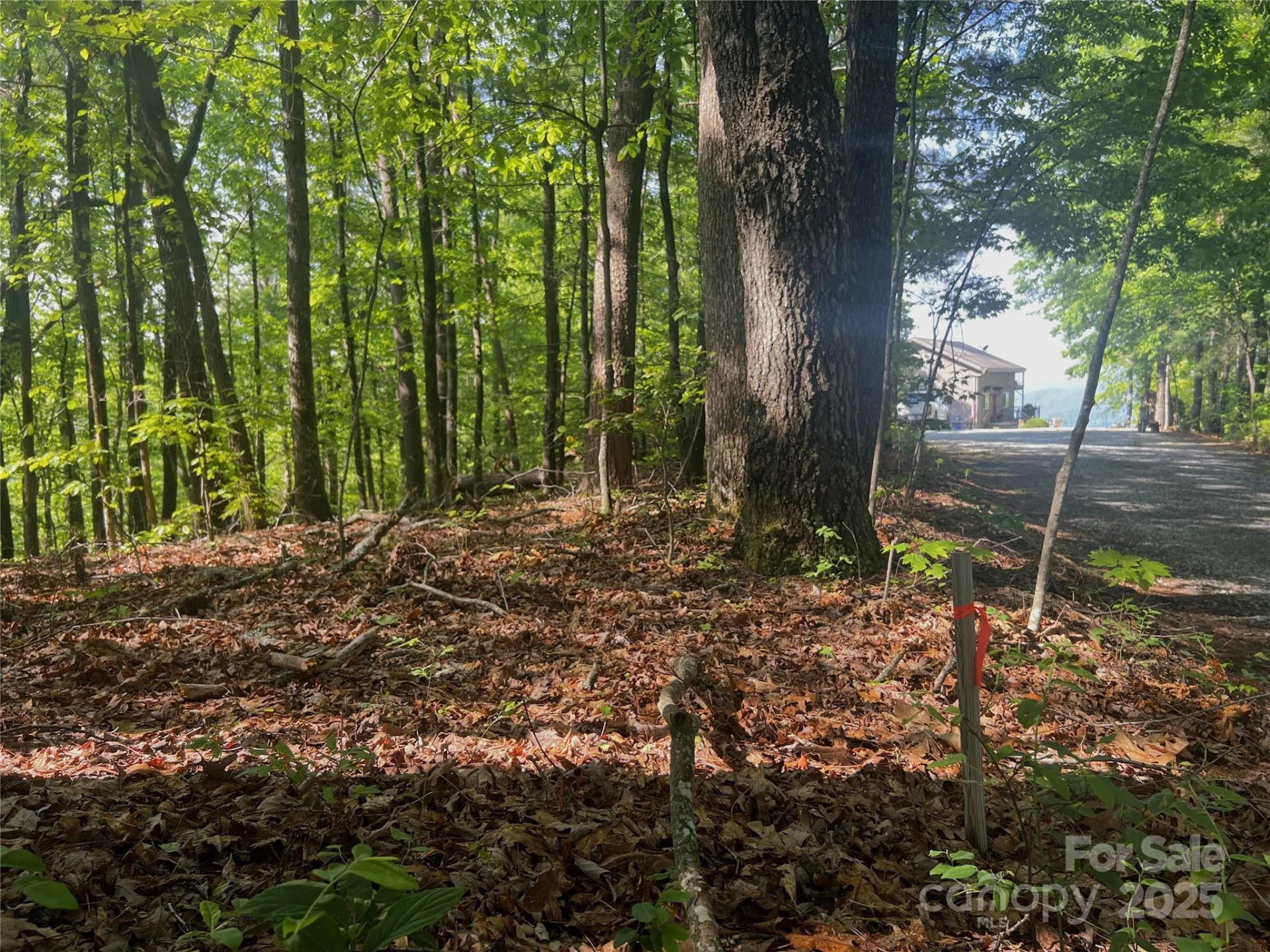 Lot 14R Arrowhead Ridge #14 Revised - Photo 2