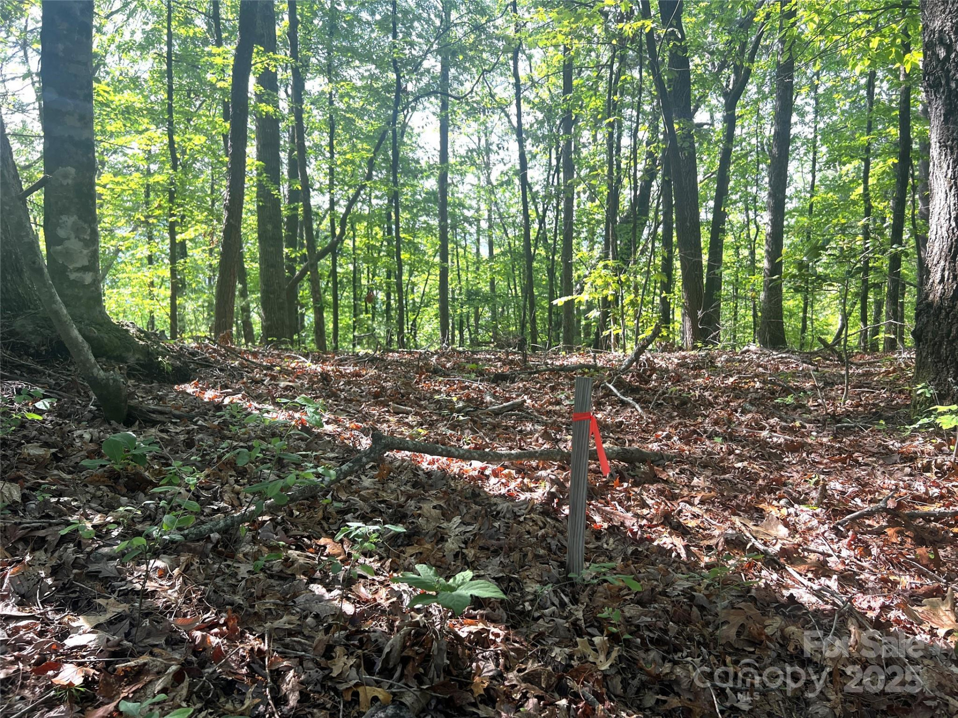 Lot 14R Arrowhead Ridge #14 Revised - Photo 12