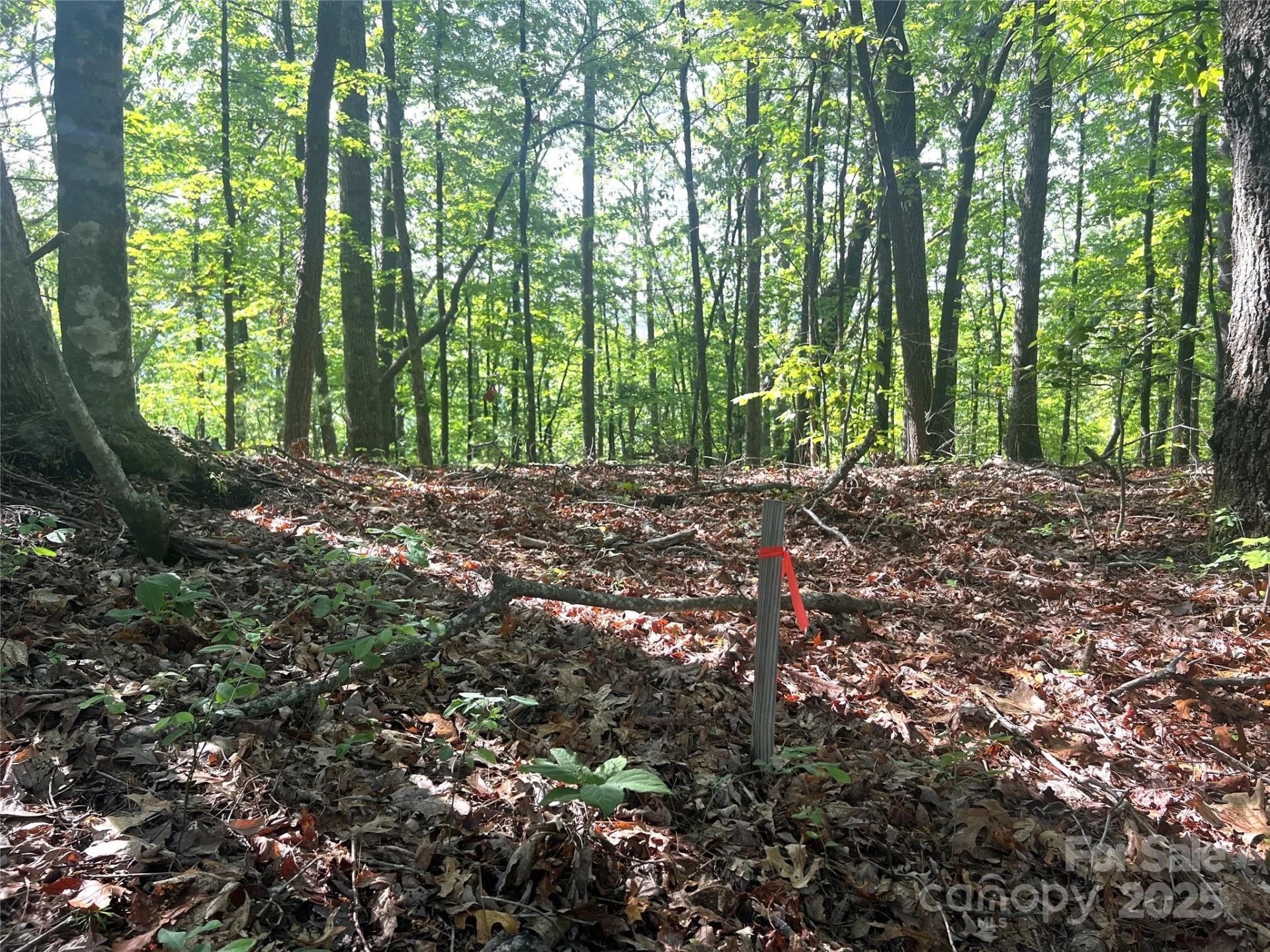 Lot 14R Arrowhead Ridge #14 Revised - Photo 12