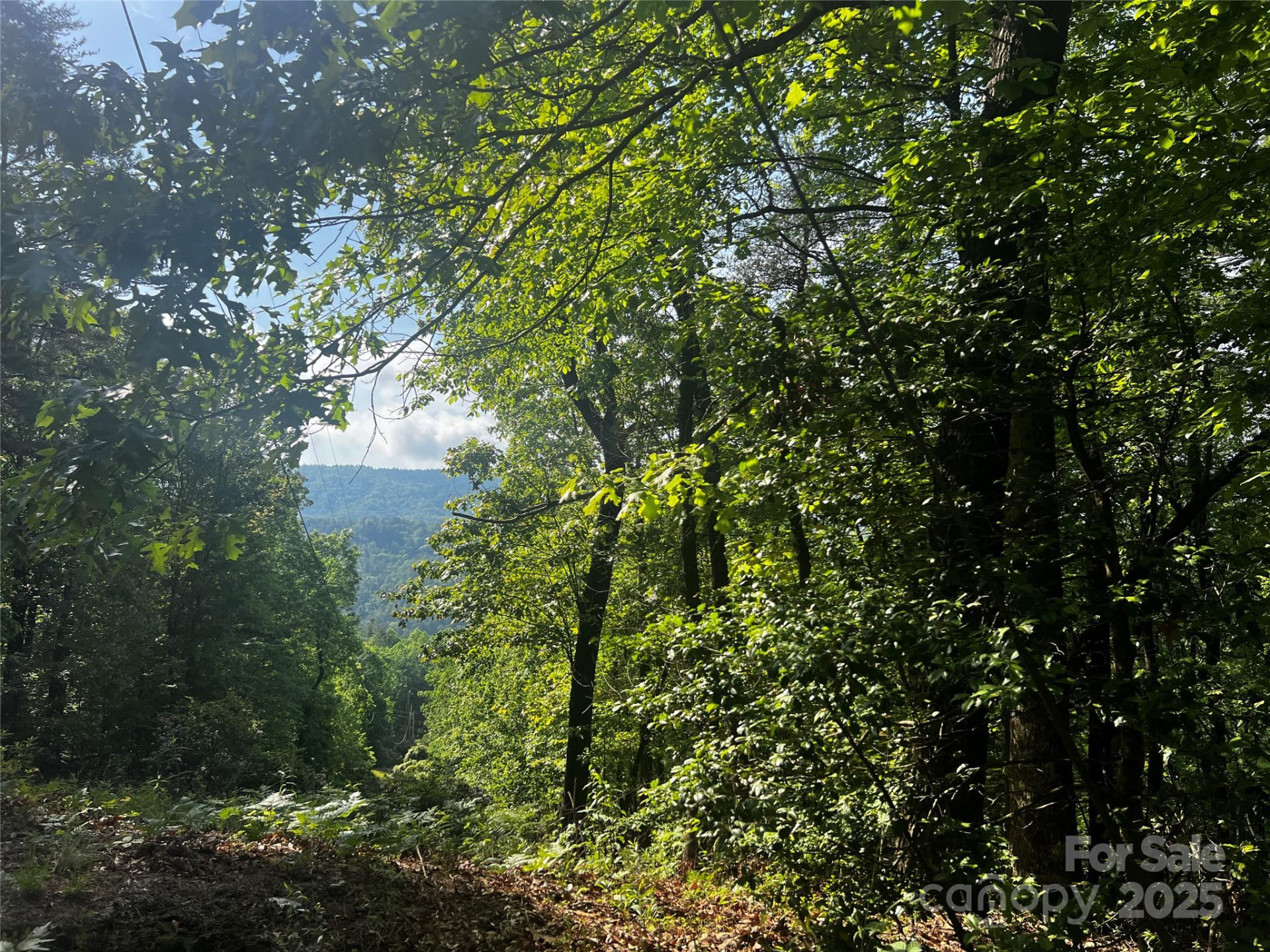 Lot 14R Arrowhead Ridge #14 Revised - Photo 3