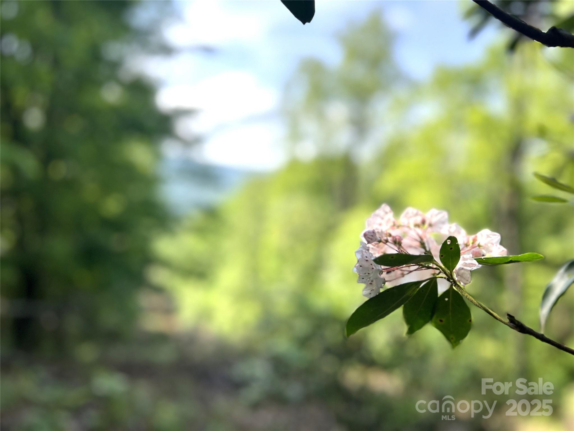 Lot 14R Arrowhead Ridge #14 Revised - Photo 5