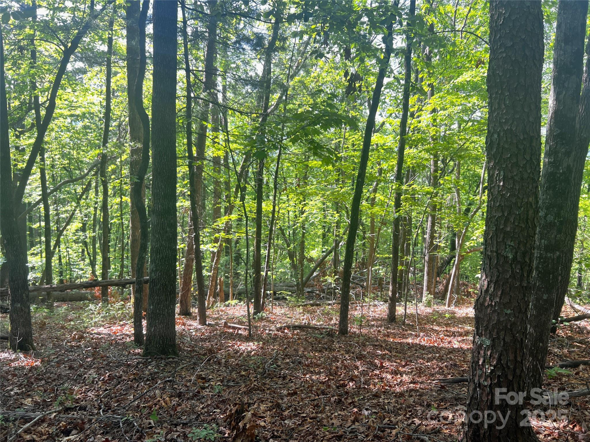 Lot 14R Arrowhead Ridge #14 Revised - Photo 7