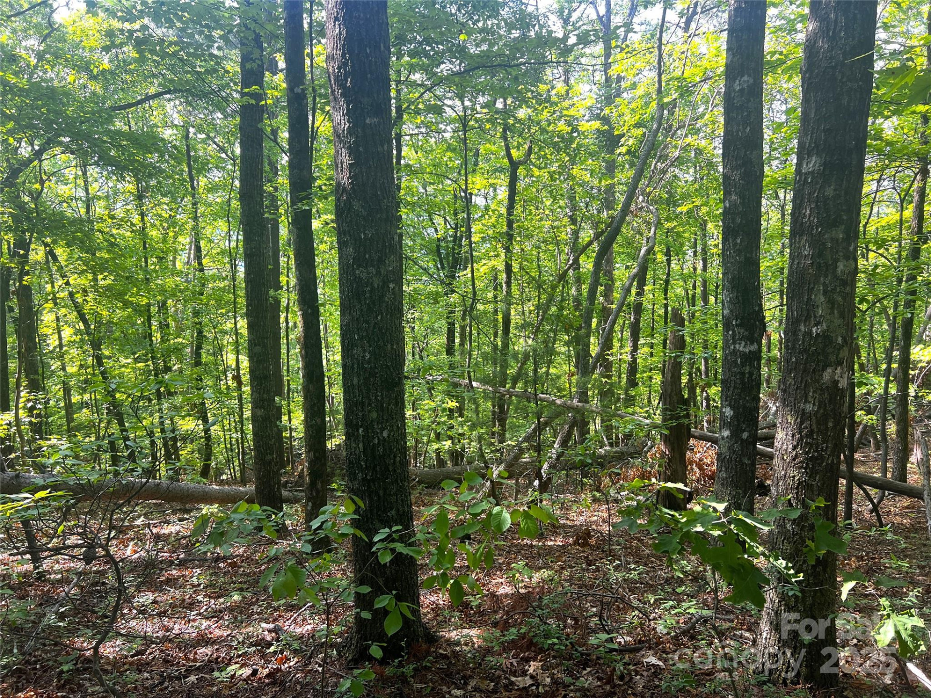 Lot 14R Arrowhead Ridge #14 Revised - Photo 10