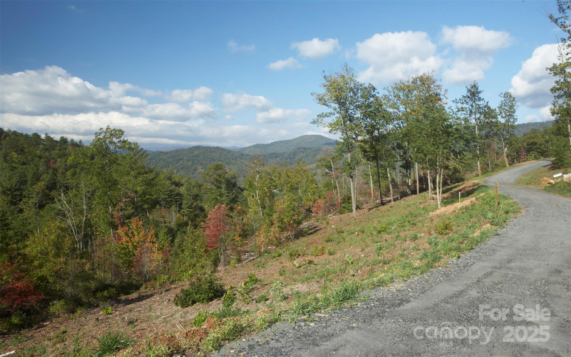 99999 Sir Winston Way #Lot 52 - Photo 8