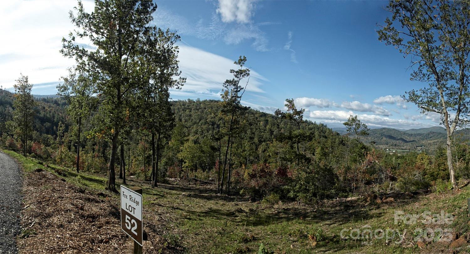 99999 Sir Winston Way #Lot 52 - Photo 9