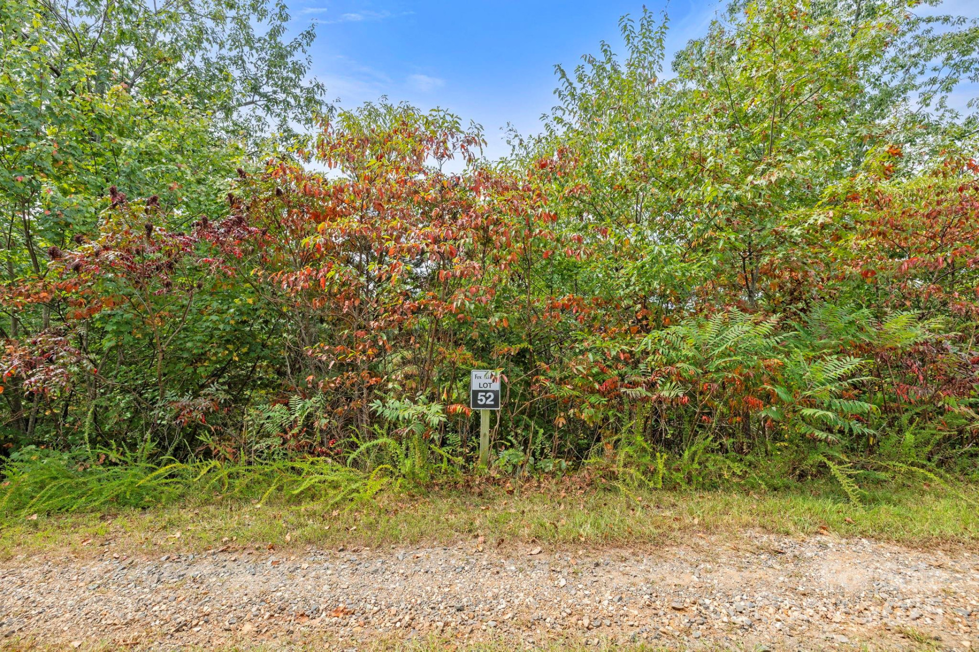 99999 Sir Winston Way #Lot 52 - Photo 10