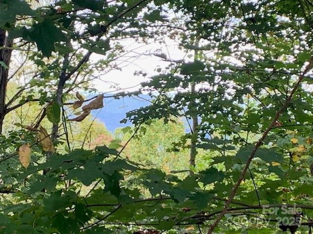 105 CROSSVINE Trail #15 - Photo 12