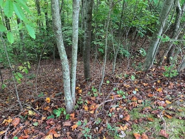 105 CROSSVINE Trail #15 - Photo 14