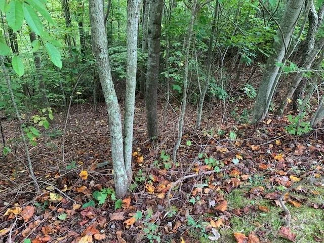 105 CROSSVINE Trail #15 - Photo 14