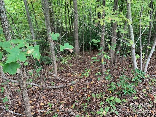 105 CROSSVINE Trail #15 - Photo 3