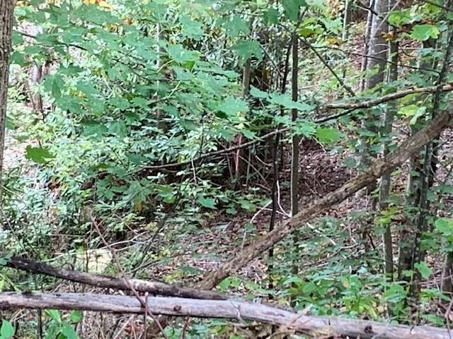 105 CROSSVINE Trail #15 - Photo 29