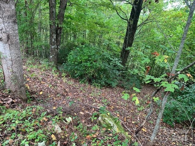 105 CROSSVINE Trail #15 - Photo 4