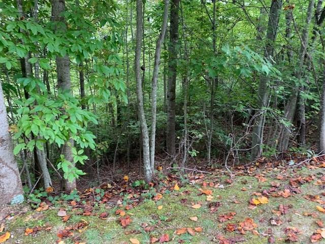 105 CROSSVINE Trail #15 - Photo 31