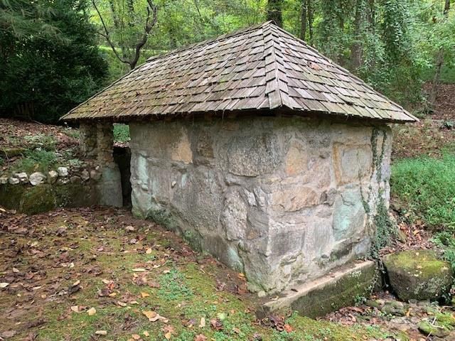 105 CROSSVINE Trail #15 - Photo 41