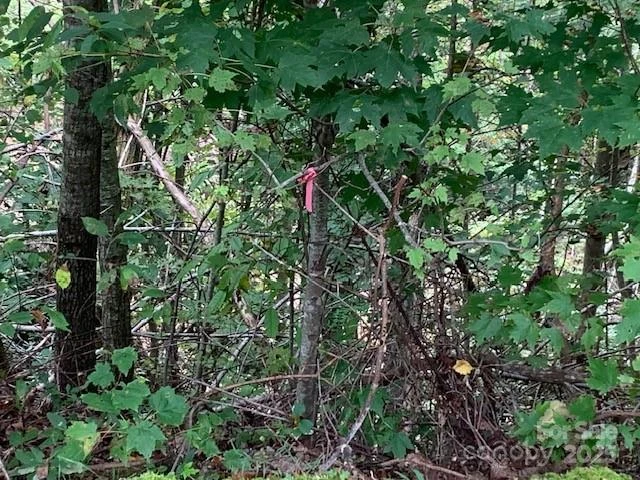 105 CROSSVINE Trail #15 - Photo 6