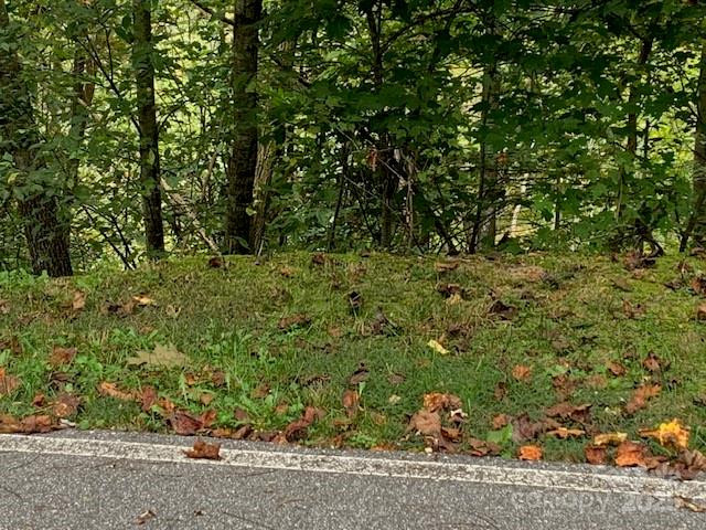 105 CROSSVINE Trail #15 - Photo 8