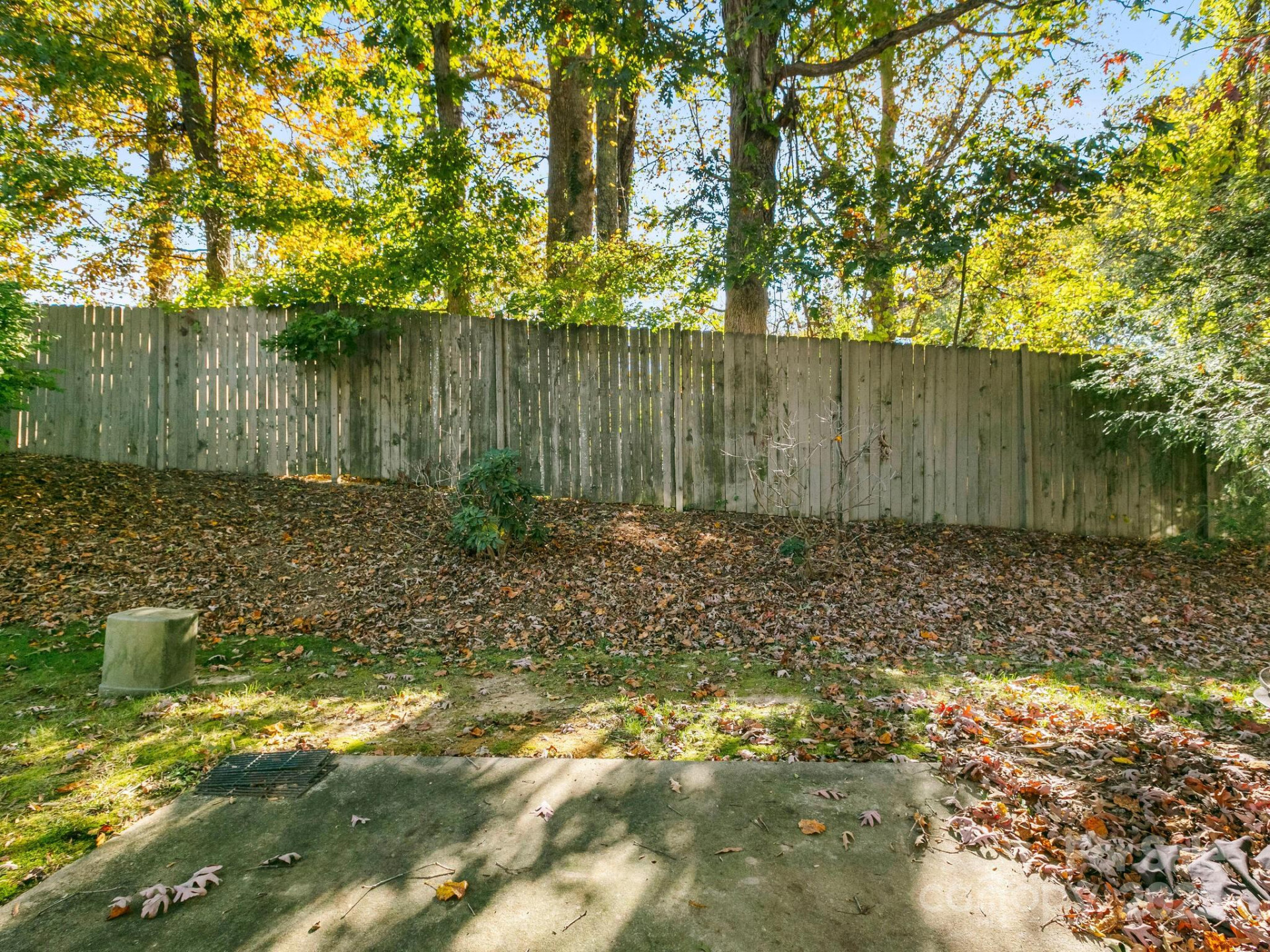 55 Thea Lane - Photo 31