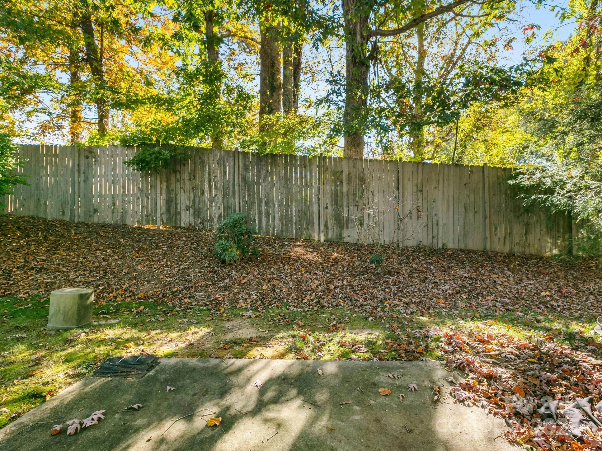 55 Thea Lane - Photo 31