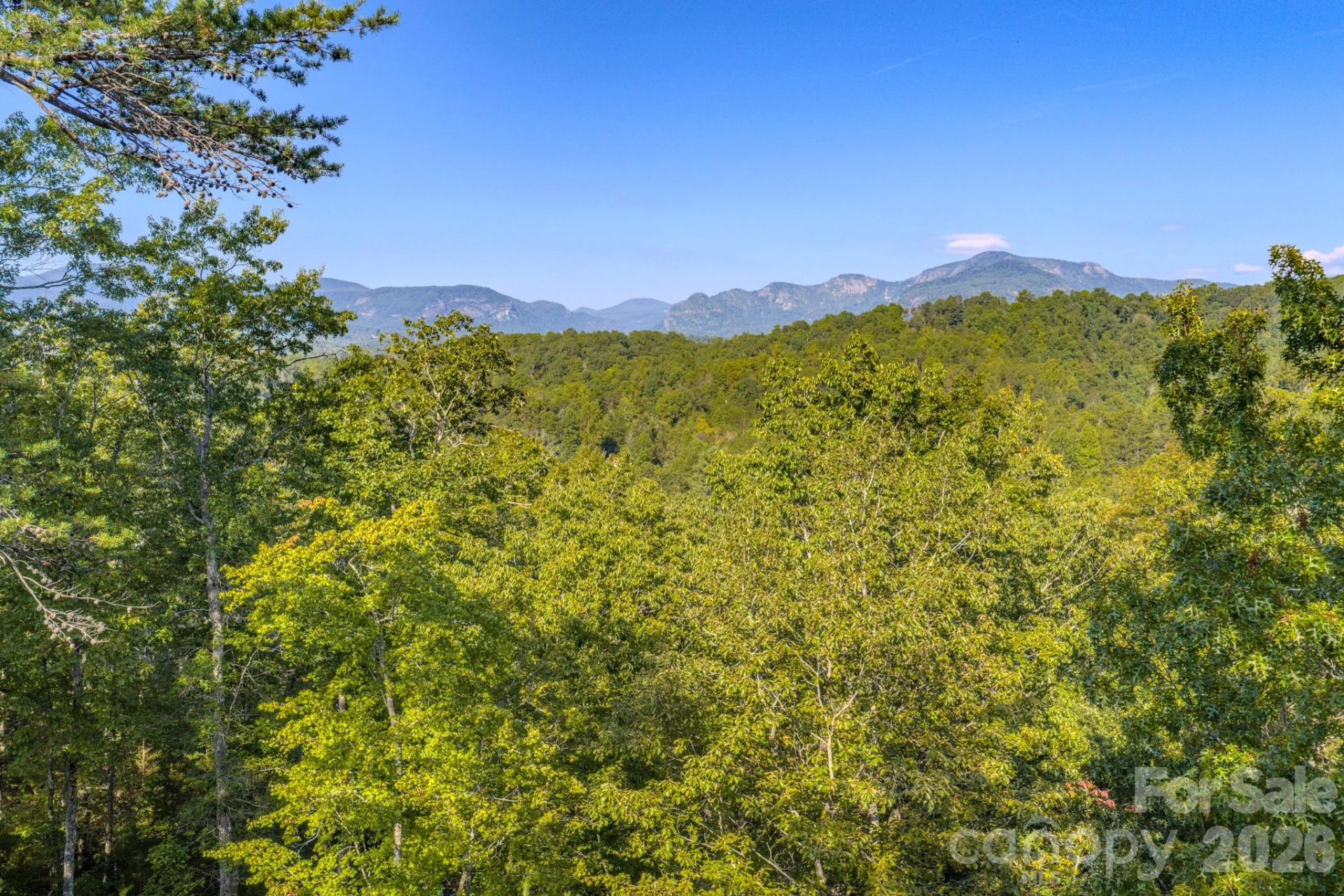 0 Willow Top Lane #332