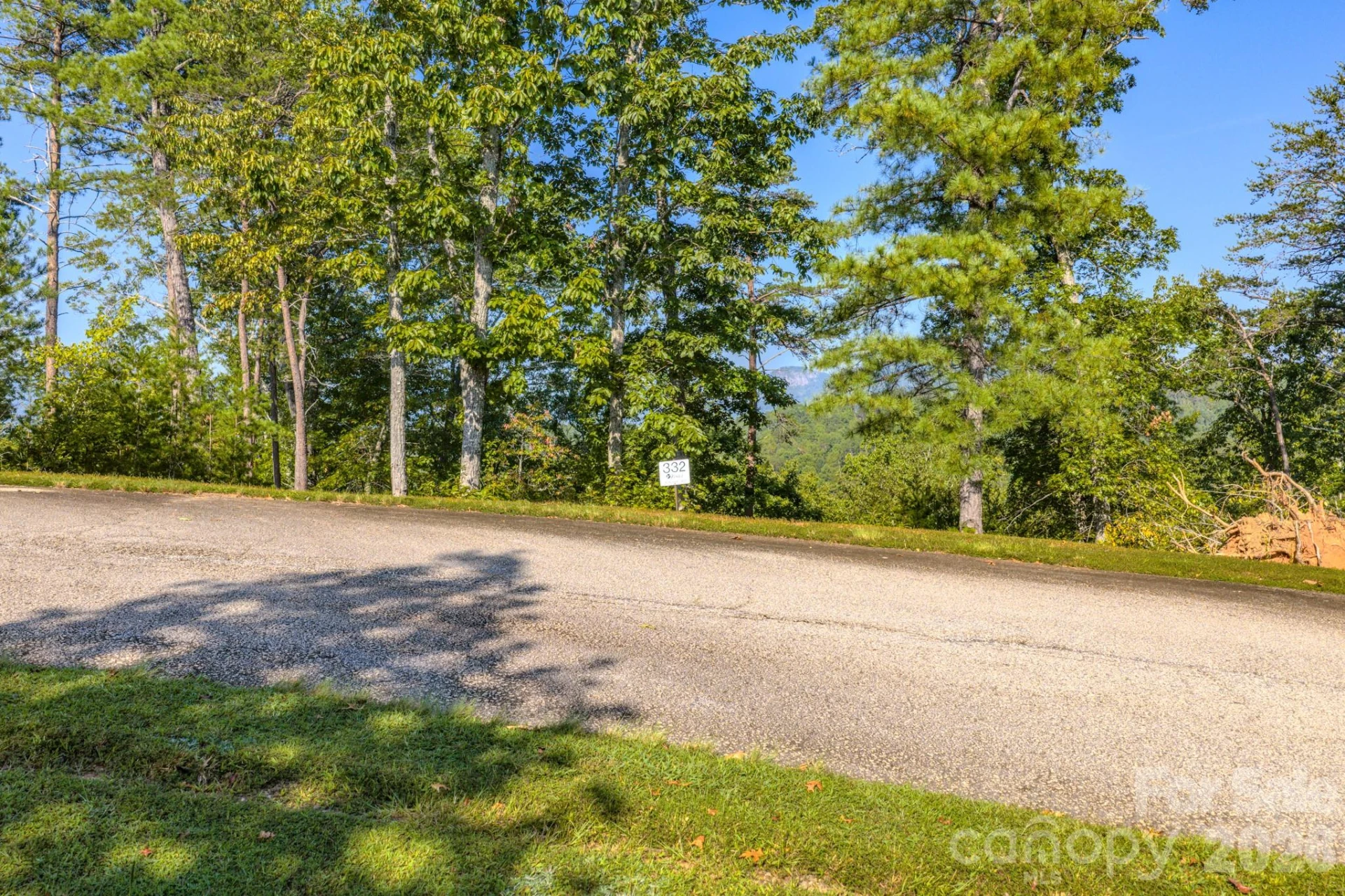 0 Willow Top Lane #332 - Photo 7
