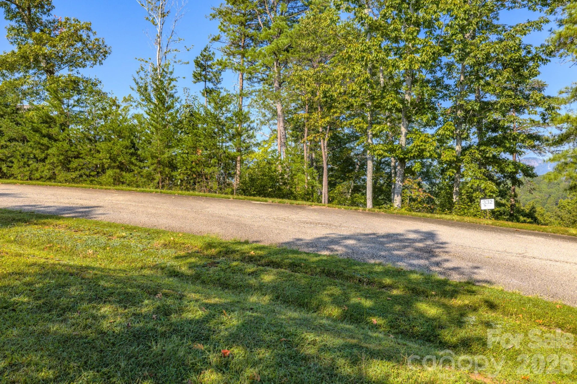 0 Willow Top Lane #332 - Photo 9