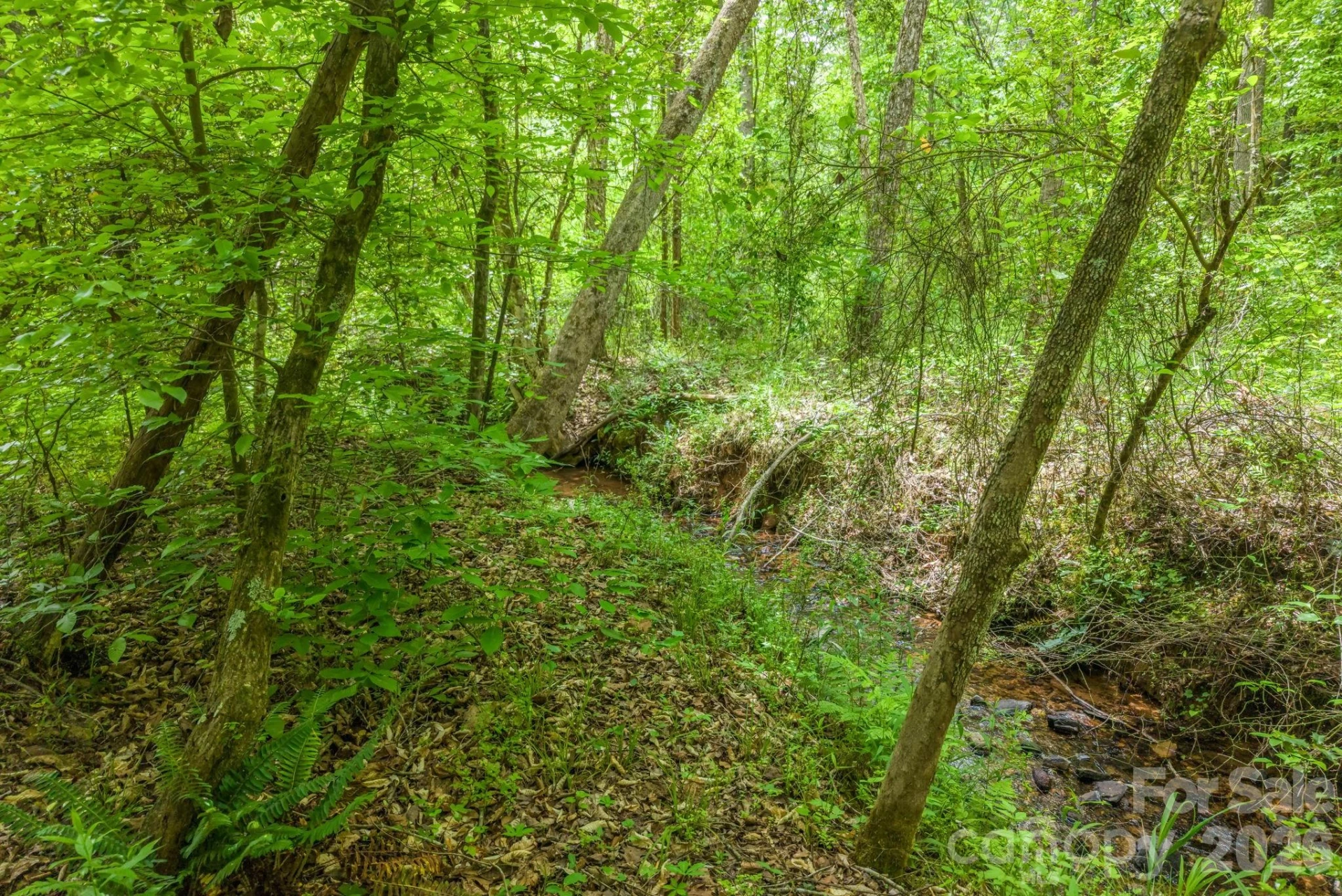288 Maypole Court - Photo 43