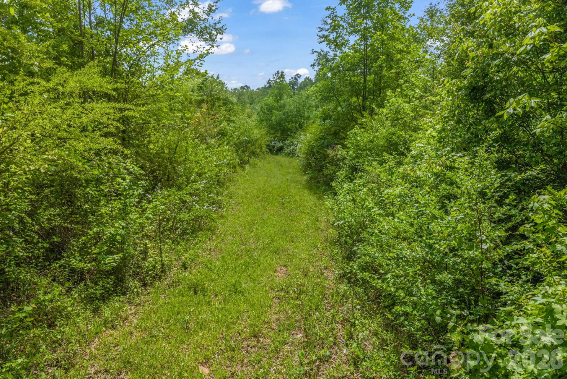 288 Maypole Court - Photo 44