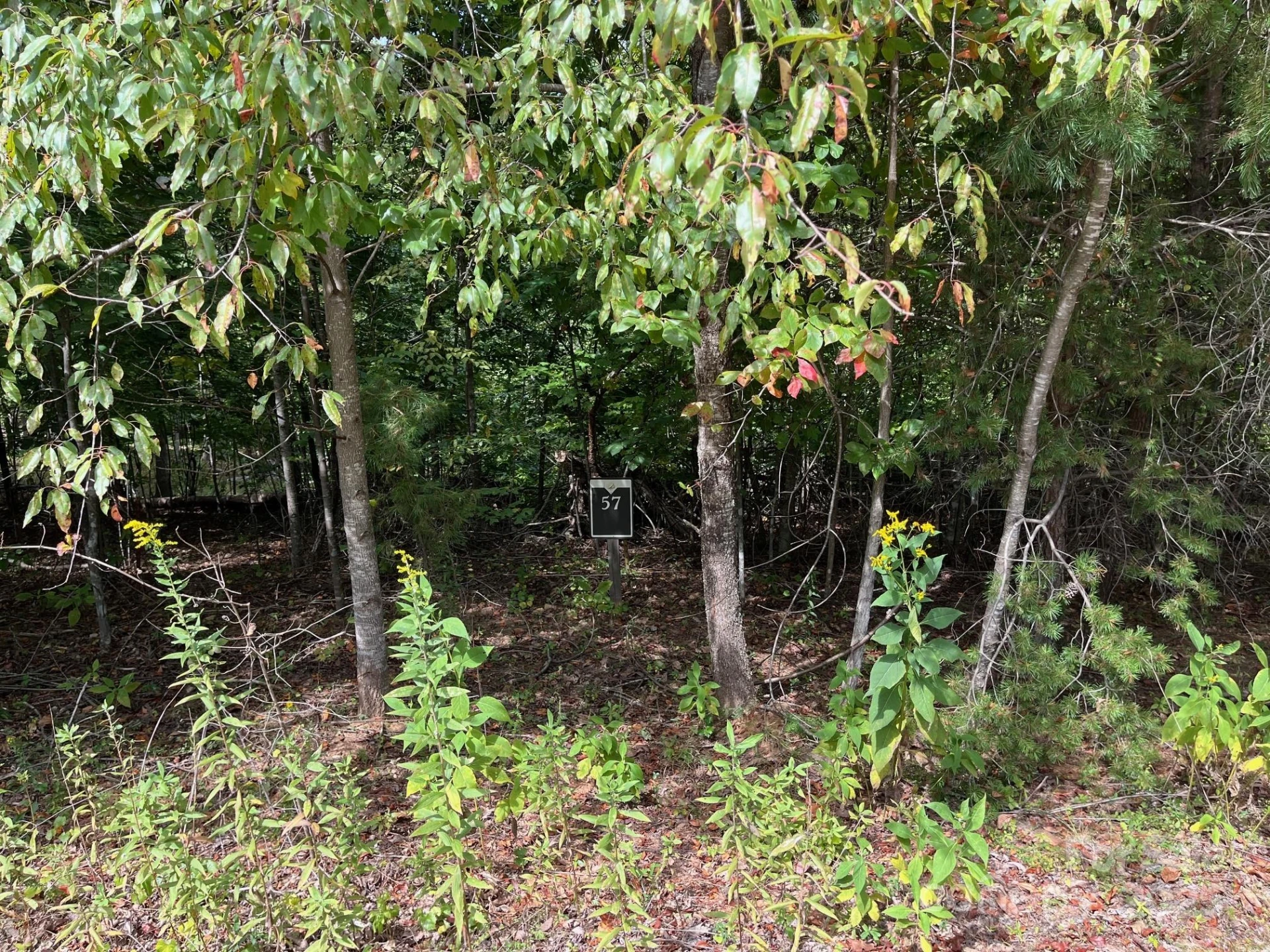 Lot 57 Perennial Drive - Photo 4