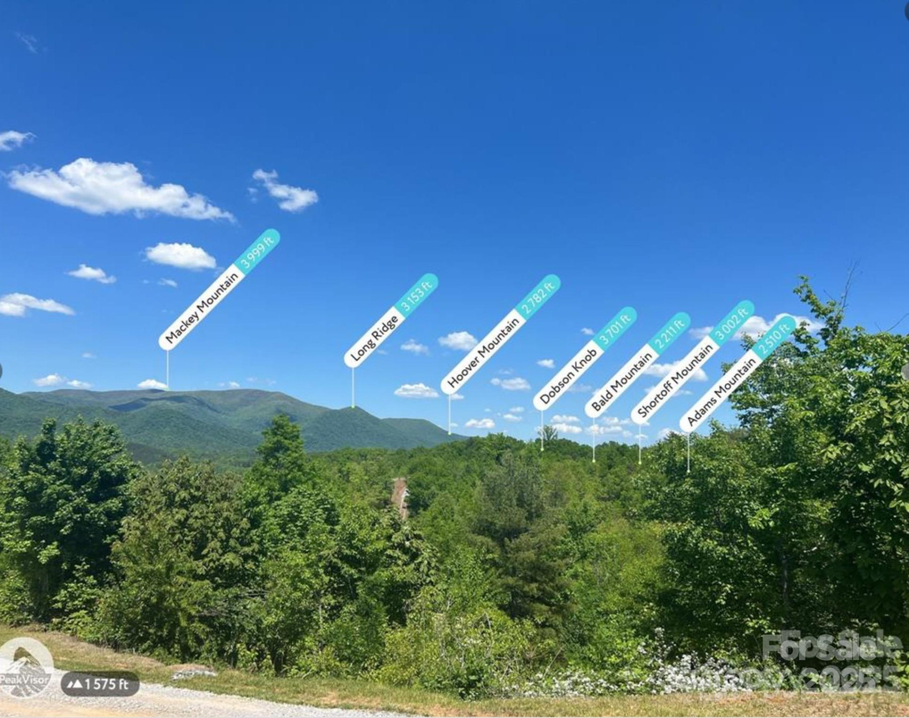 V/L Sherman Drive - Photo 4