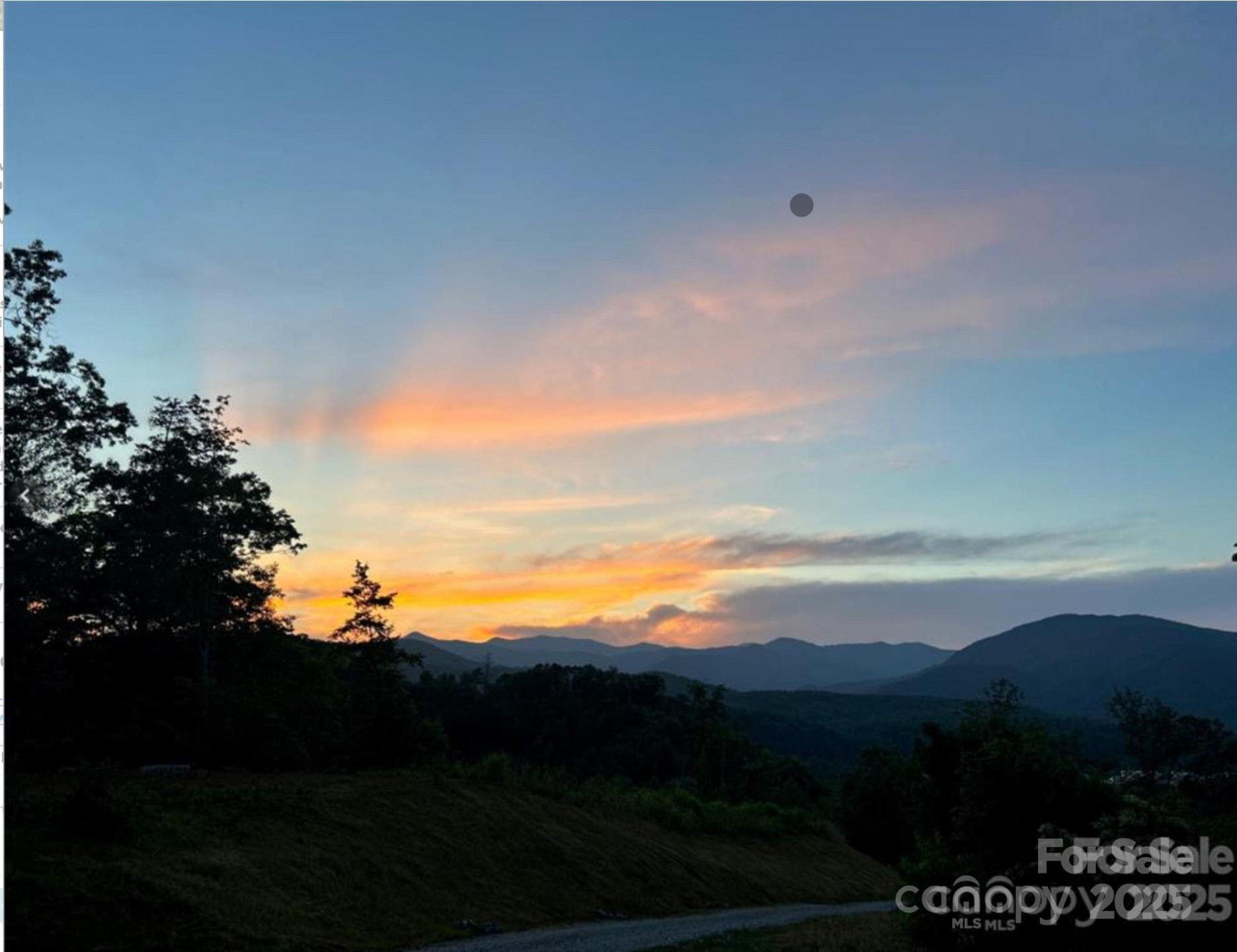 V/L Sherman Drive - Photo 7