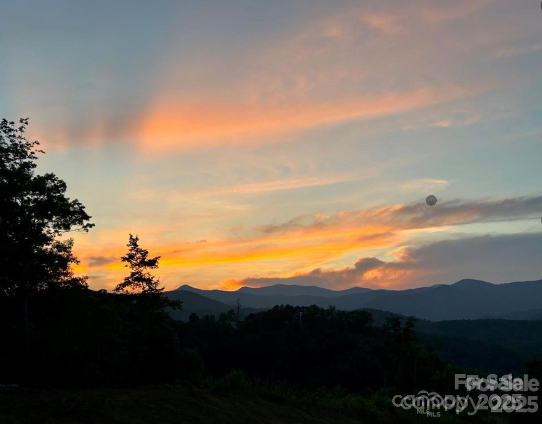 V/L Sherman Drive - Photo 8