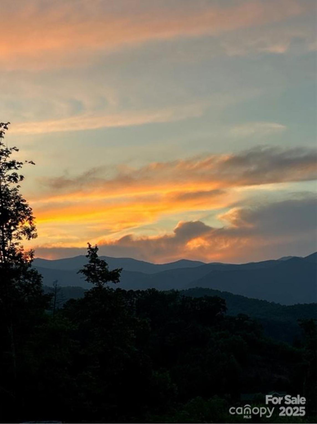 V/L Sherman Drive - Photo 9