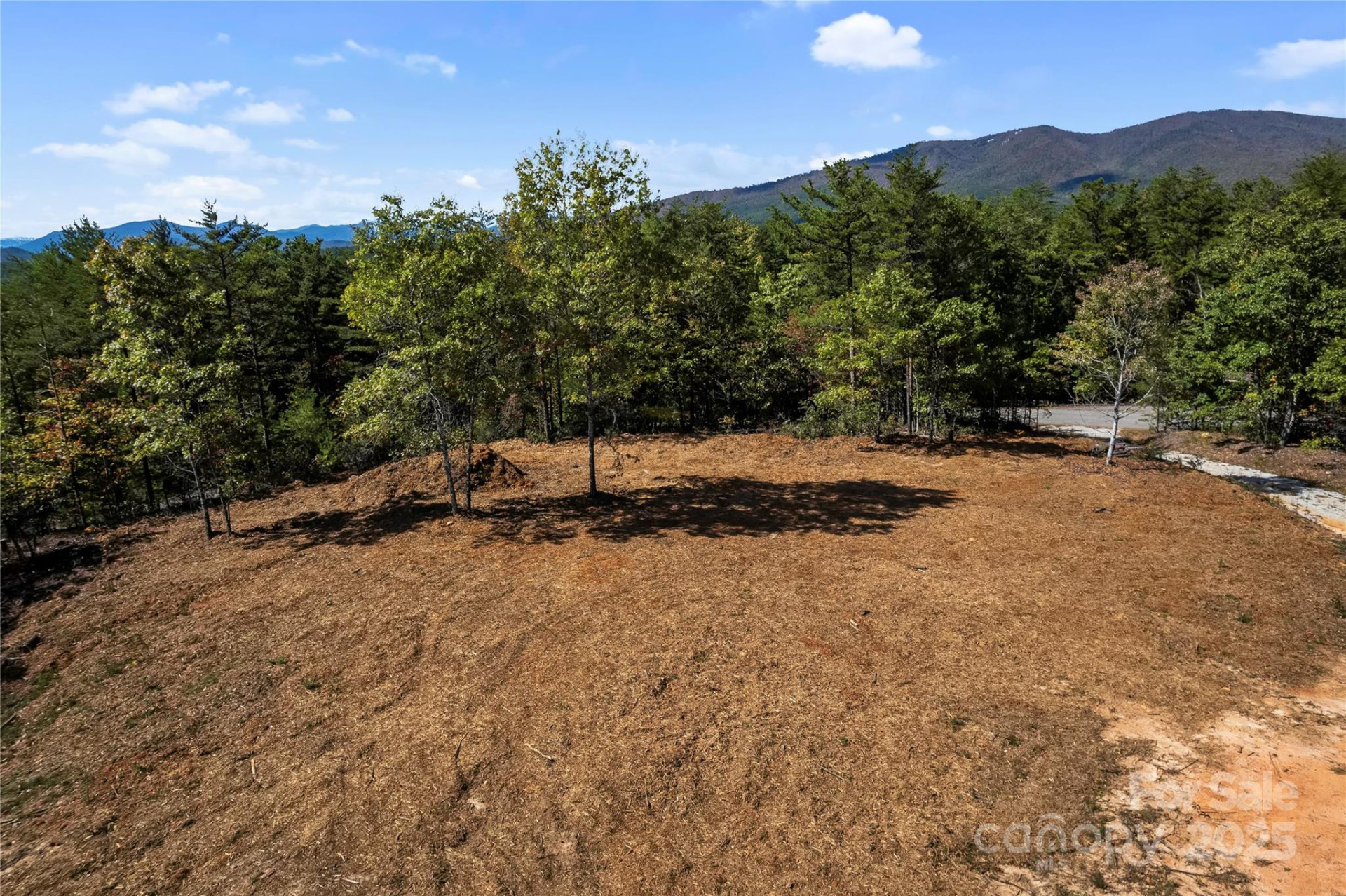 9028 Shortoff View Terrace - Photo 2