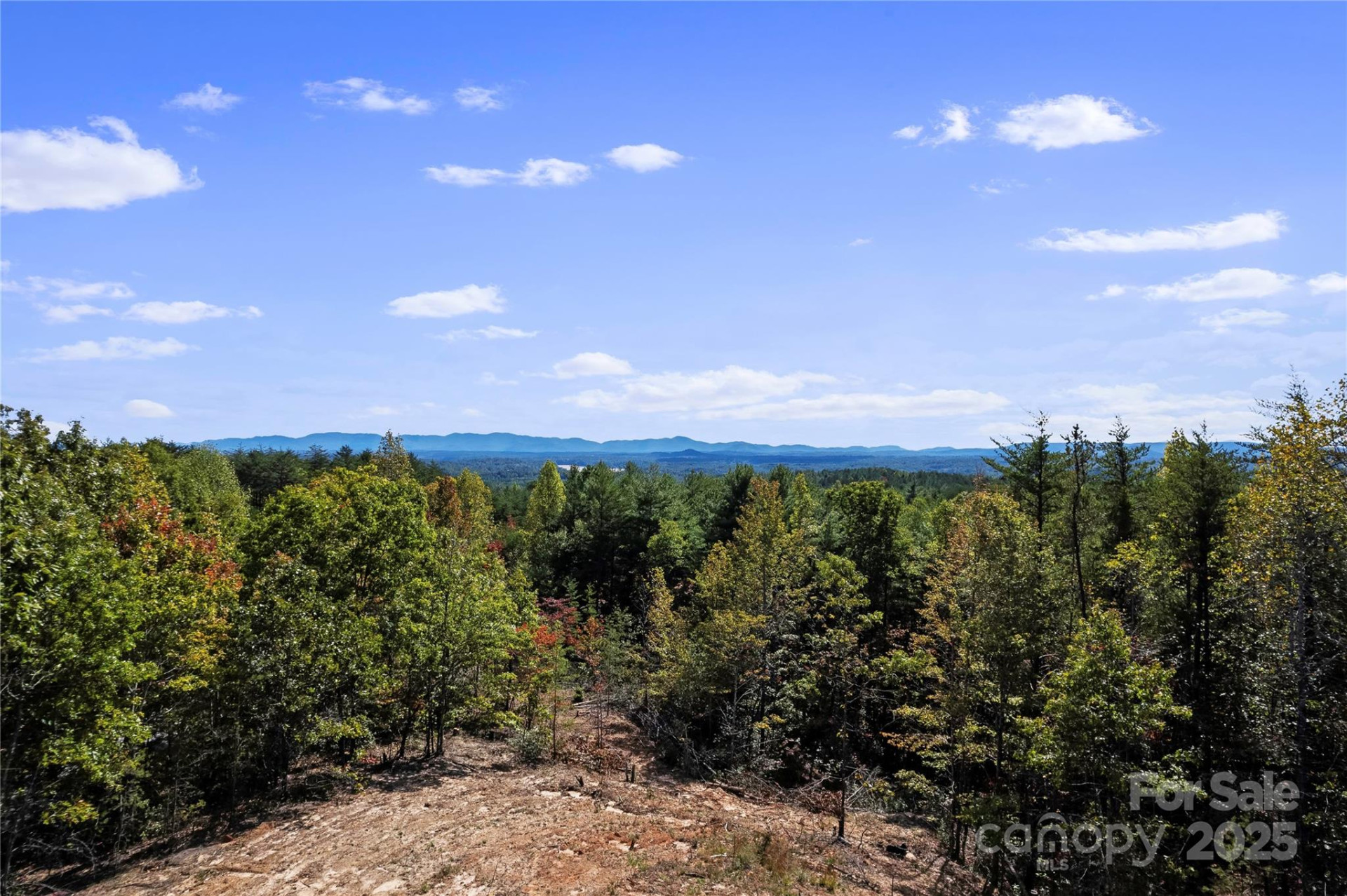 9028 Shortoff View Terrace - Photo 3